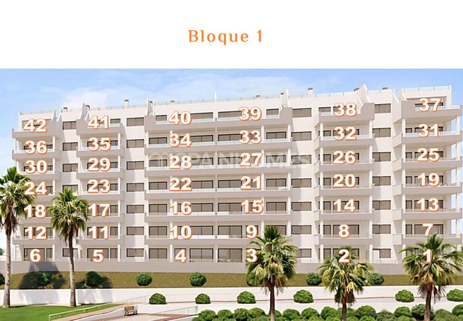 Apartamentos En San Miguel De Salinas Con Piscina Y Vistas 21